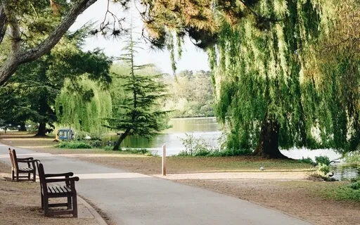 Developing A Safe Place With Perfect Nurturers