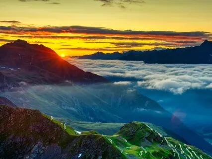 Developing A Trusting Heart