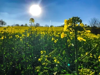 Developing Connection And Caring Feeling