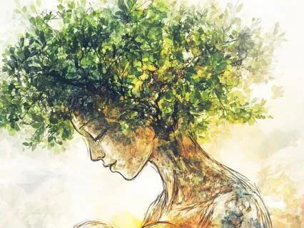 Developing Dreams: Mindfulness Meditation