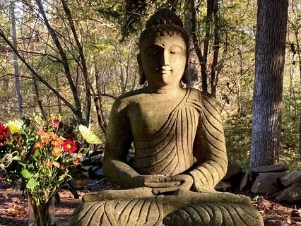 Developing Mindfulness With Body And Breath