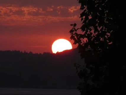 Let Reality Be The Teacher - Natural Acceptance Practice