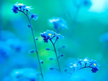 Developing Your Intuition: Introduction