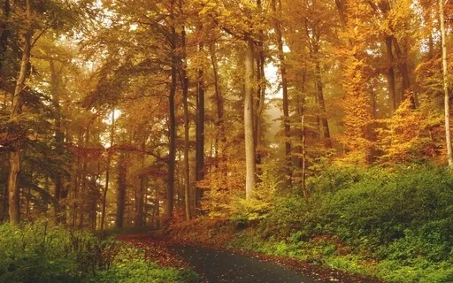 Development Of Best Self