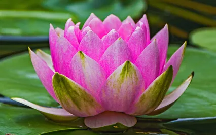 Devi Prayer (Piano Version)