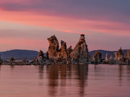 Devine Spark Of Consciousness