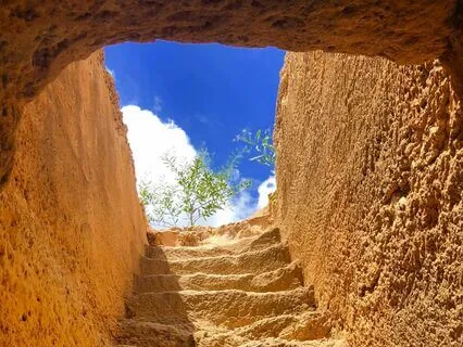 Divine Timing - Meditation