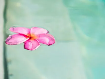 Devotion & Delight Morning Affirmations