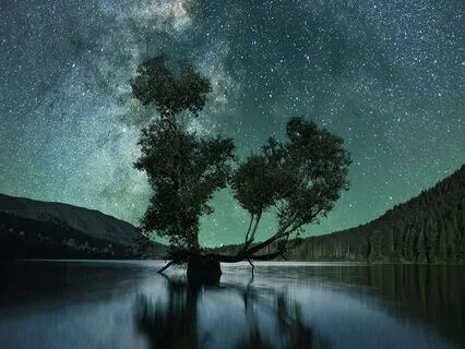 Devotional Poetry For Sleep