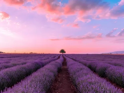 Dewrise - Dream Field | Ambient Binaural Music