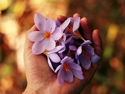 დღე 1 - მედიტაციის 21 დღიანი მარათონი