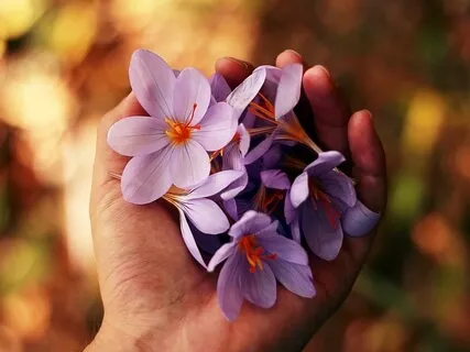 დღე 3 - მედიტაციის 21 დღიანი მარათონი