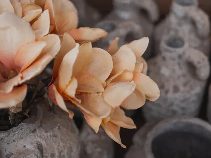 Dharma As Relationship