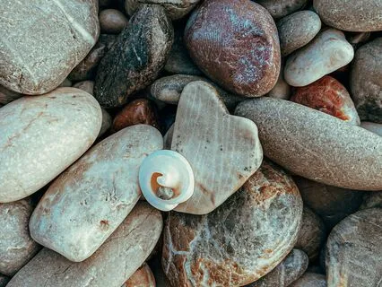 Dharma Of The Stubborn Mind - Part 2