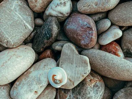 Dharma Of The Stubborn Mind