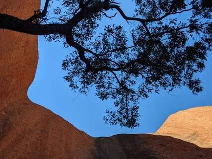  Dharma Talk: Cultivating The Heart Qualities