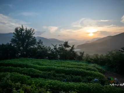 Dharma Talk Of The Meditation