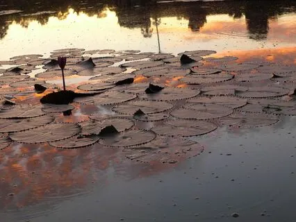 Dharma talk on Karma and the importance of ethics