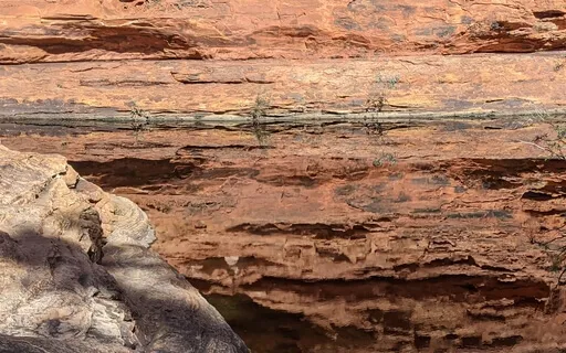  Dharma Talk:  Signless Samadhi