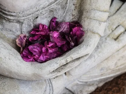 Dharma Talk: Why Meditate