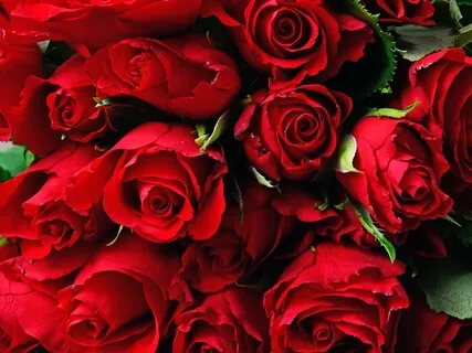 第一チャクラのための瞑想サウンド