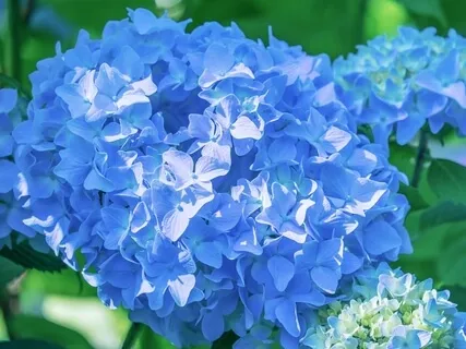 第五チャクラのための瞑想用サウンド