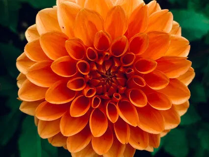 Dial Up Your Joy With Shape Of Emotion