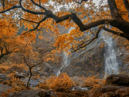 Dialogi pelon kanssa (20 min)