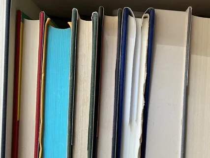 Diary Of A Nobody, Chapter One