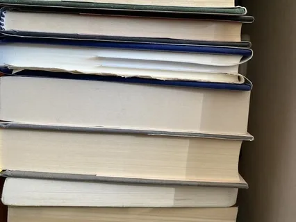 Diary Of A Nobody: Chapters 3 And 4