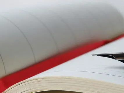 Diary Of A Provincial Lady, Chapter 15