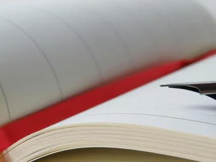 Diary Of A Provincial Lady, Chapter 18