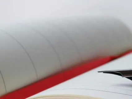 Diary Of A Provincial Lady, Chapter 23