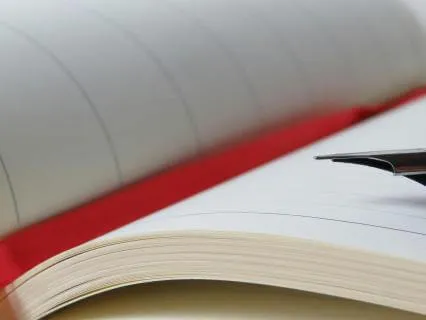 Diary Of A Provincial Lady, Chapter 25