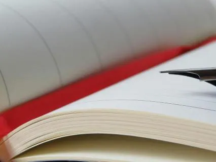 Diary Of A Provincial Lady, Chapter 26