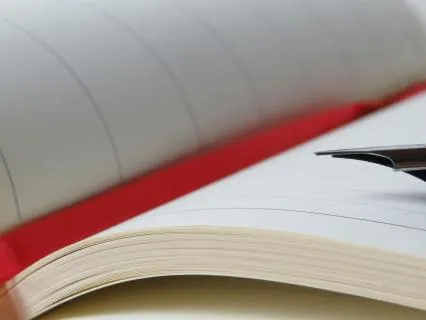 Diary Of A Provincial Lady, Chapter 31