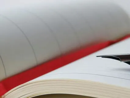 Diary Of A Provincial Lady, Chapter 4