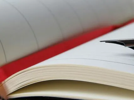 Diary Of A Provincial Lady, Chapter 5