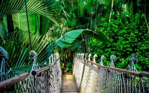 Did It Rain In The Garden Of Eden?