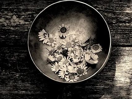 Didgeridoo & Singing Bowls with Soft Rain