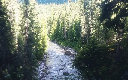 Didgeridoo Meditation