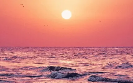 Didgeridoo Vibrations At The Beach Sound Healing