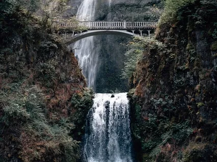 День #2. Кровь и Сосуды (10 Дней Исцеления и Восстановления)