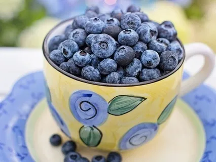 Diet Talk - Avoiding Burnout