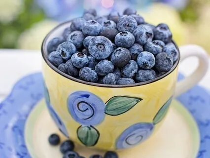 Diet Talk - Becoming A Lifelong Dieter