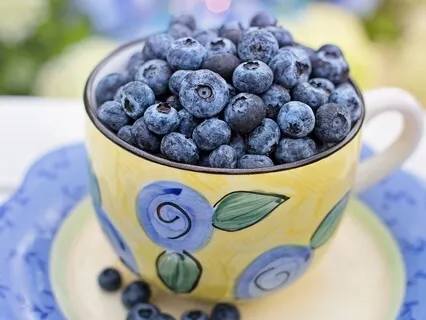 Diet Talk - Being Tired And Working On Weight Loss