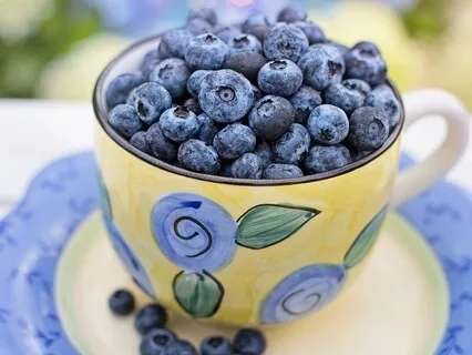 Diet Talk - Getting Back On Track