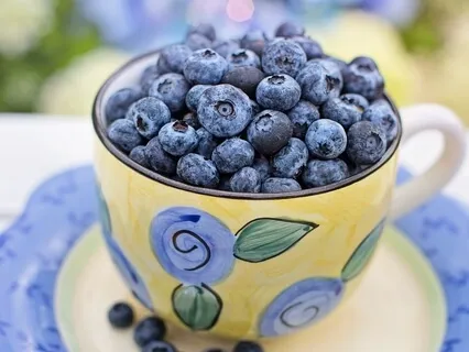 Diet Talk - Monotony Versus Variety During Weight Loss