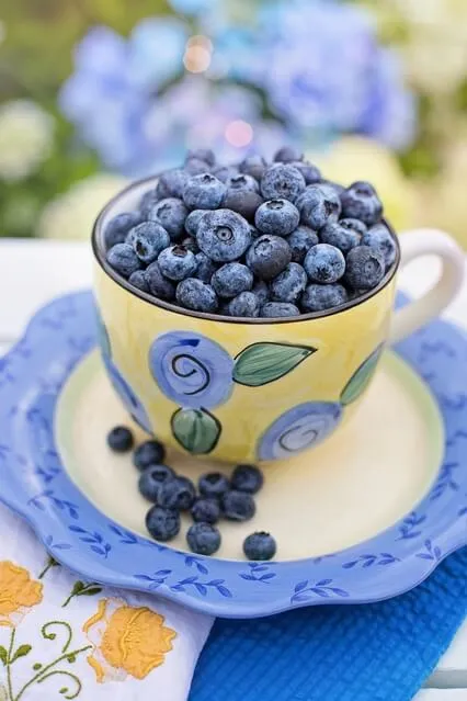 Diet Talk - Strategies For Successful Dieting