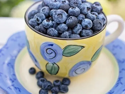 Diet Talk - Weight Loss And Parties